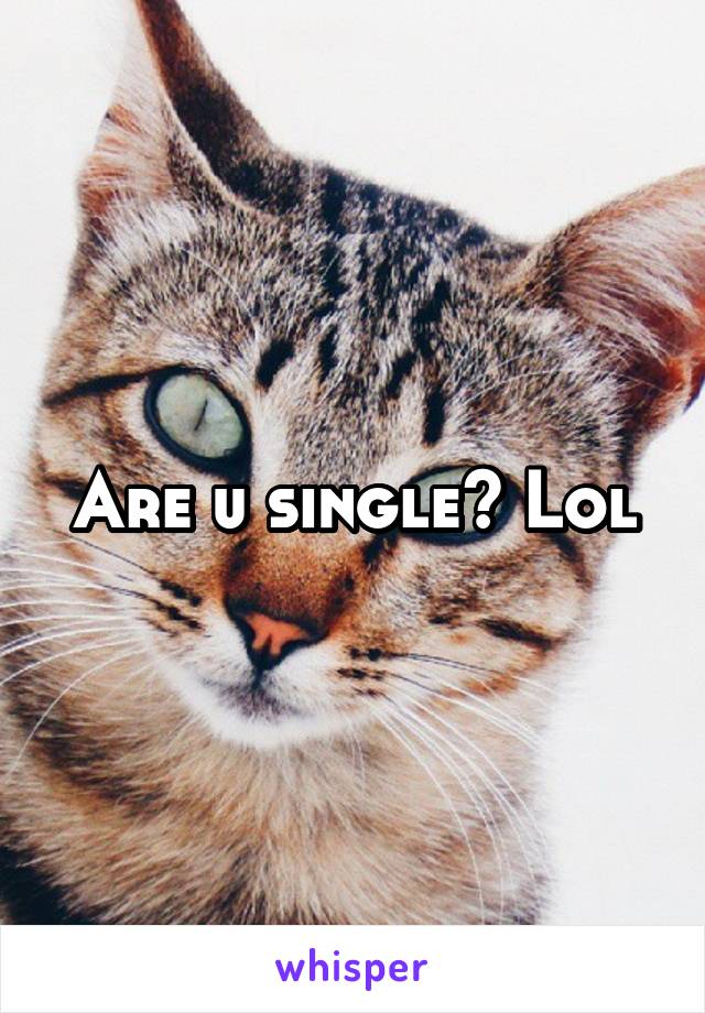 Are u single? Lol