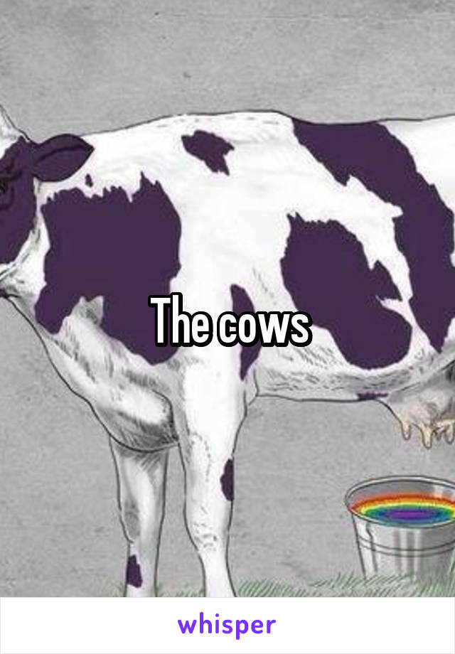 The cows