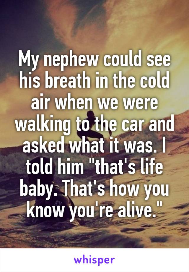 My nephew could see his breath in the cold air when we were walking to the car and asked what it was. I told him "that's life baby. That's how you know you're alive."