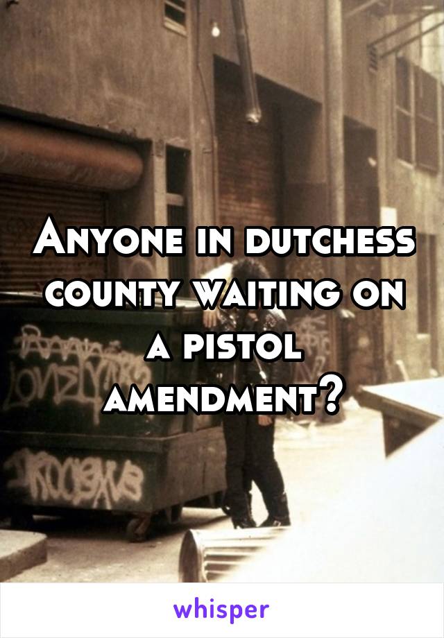 Anyone in dutchess county waiting on a pistol amendment?