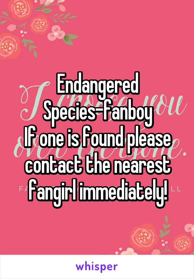 Endangered Species-fanboy
If one is found please contact the nearest fangirl immediately!