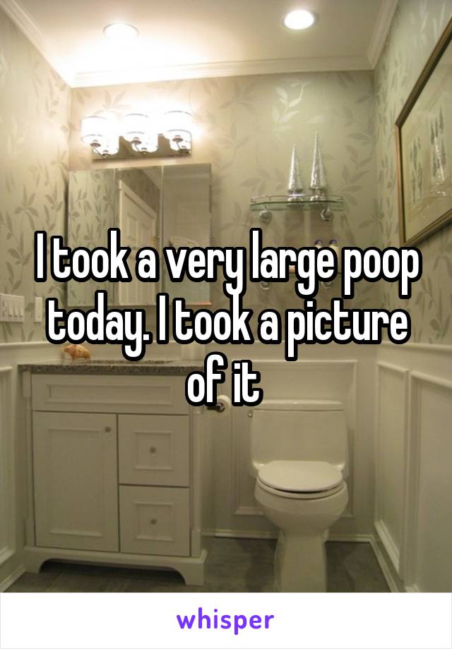 I took a very large poop today. I took a picture of it 