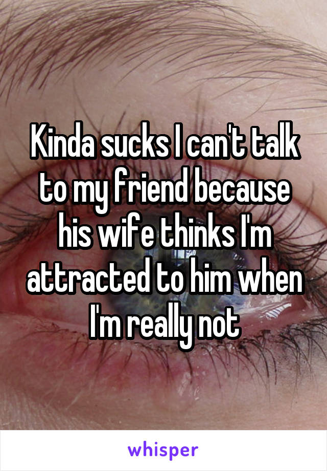 Kinda sucks I can't talk to my friend because his wife thinks I'm attracted to him when I'm really not