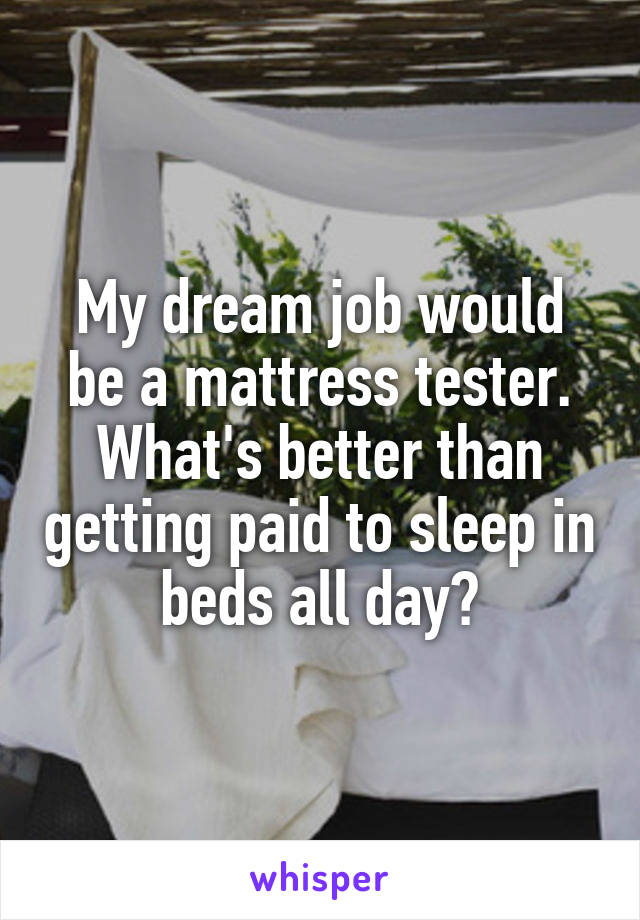 My dream job would be a mattress tester. What's better than getting paid to sleep in beds all day?