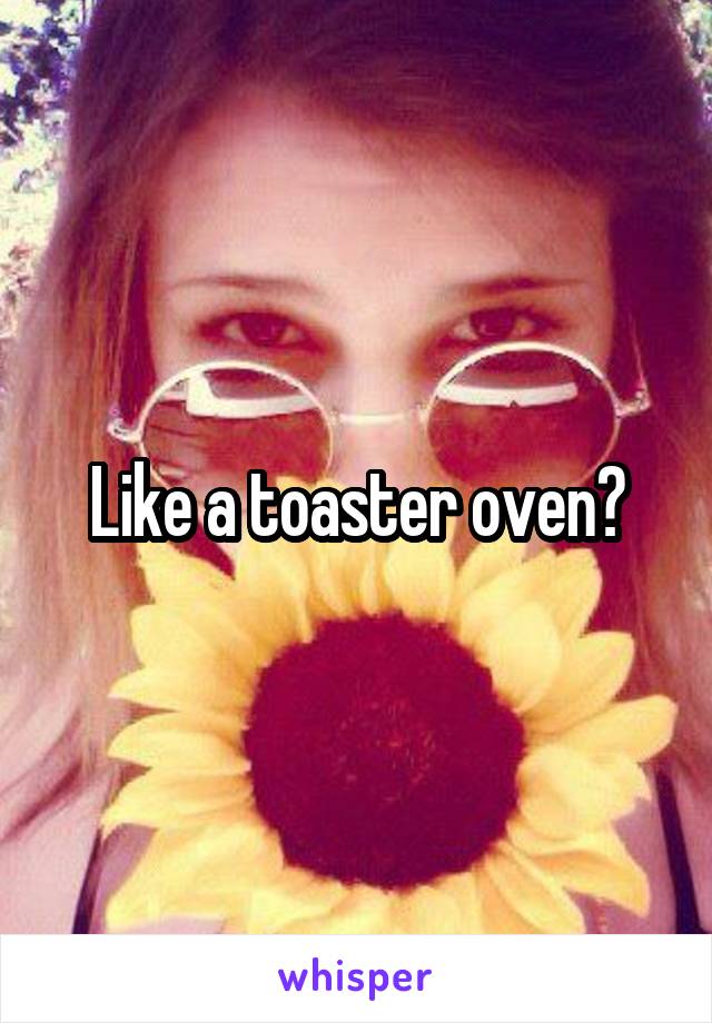 Like a toaster oven?