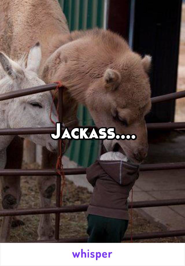 Jackass....