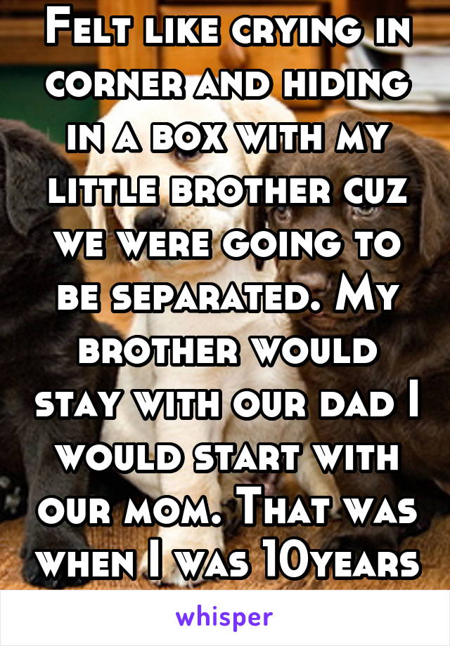 Felt like crying in corner and hiding in a box with my little brother cuz we were going to be separated. My brother would stay with our dad I would start with our mom. That was when I was 10years old 