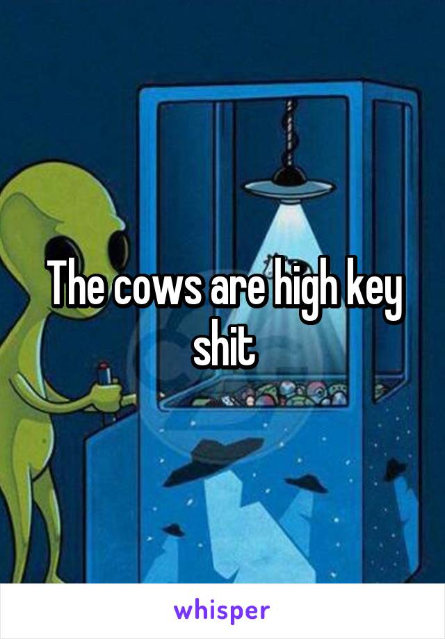 The cows are high key shit