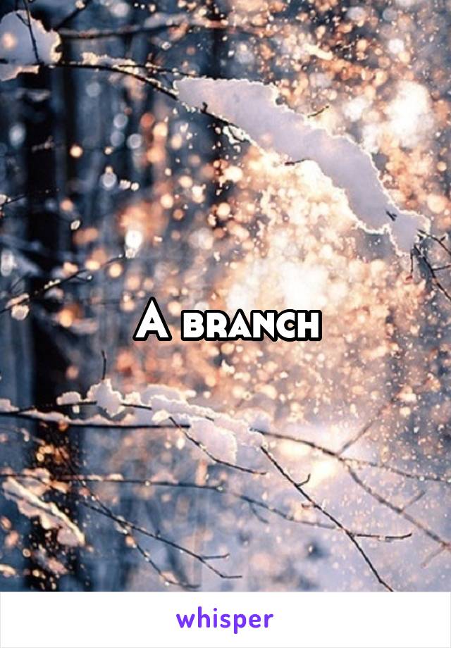 A branch