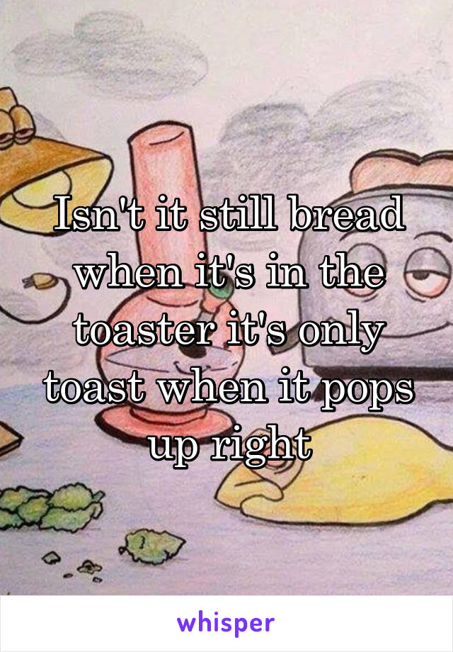 Isn't it still bread when it's in the toaster it's only toast when it pops up right