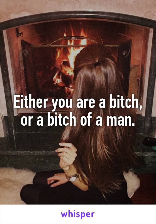 Either you are a bitch, or a bitch of a man.