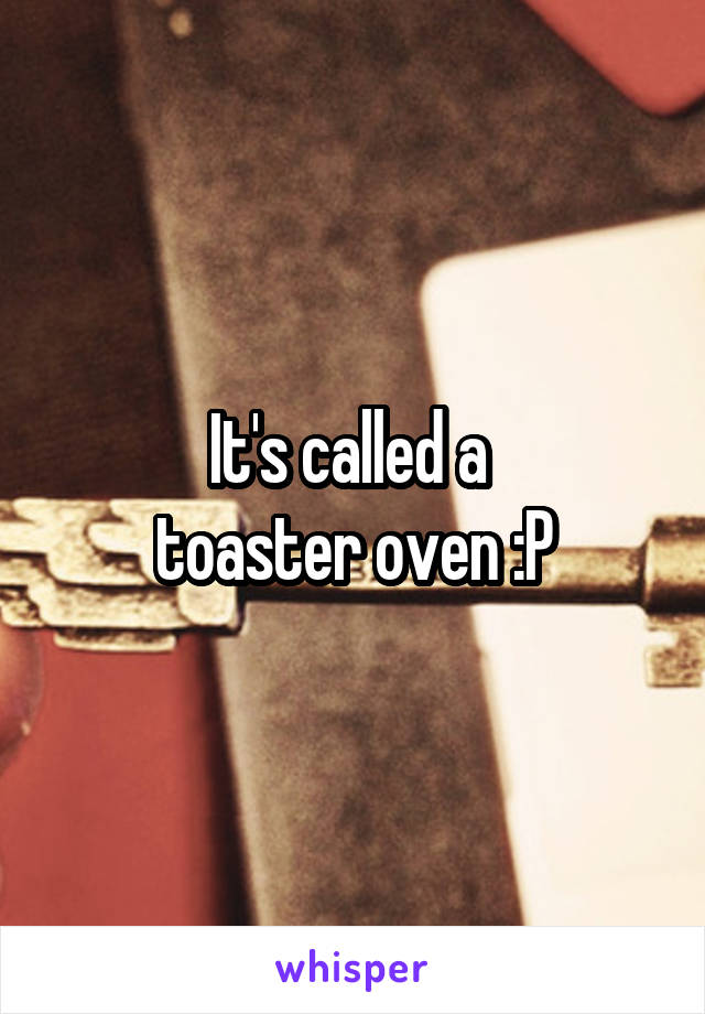 It's called a 
toaster oven :P