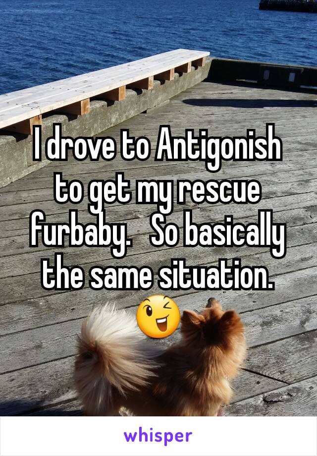 I drove to Antigonish to get my rescue furbaby.   So basically the same situation. 😉