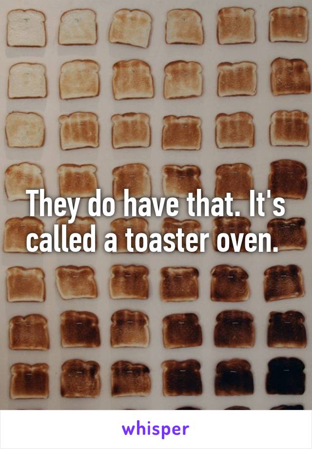 They do have that. It's called a toaster oven. 