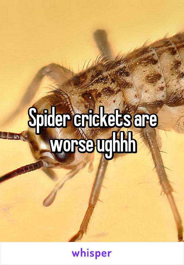 Spider crickets are worse ughhh