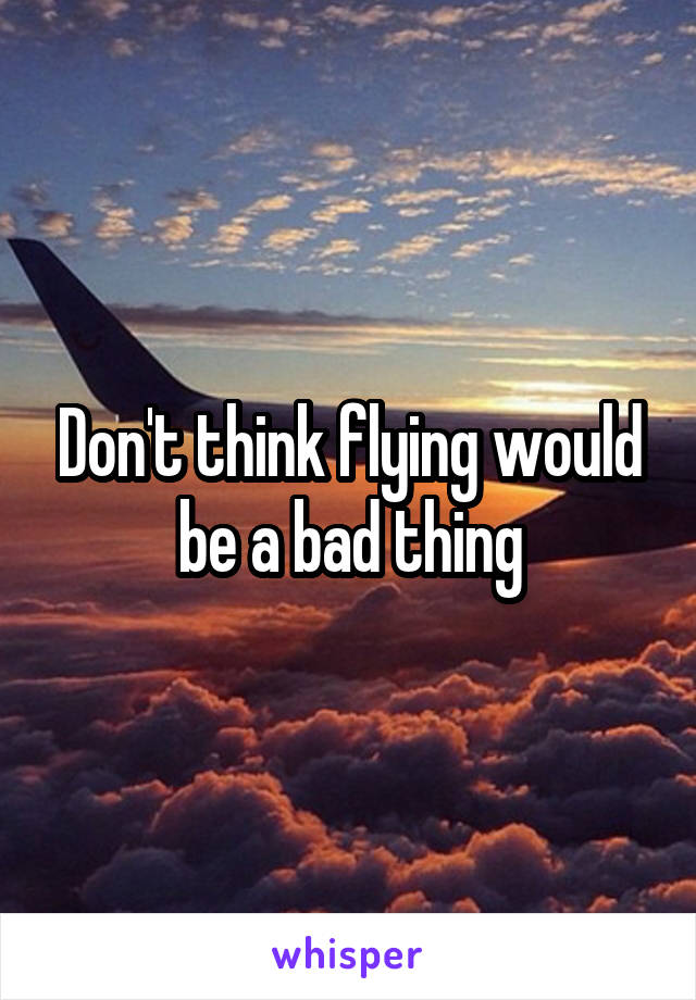 Don't think flying would be a bad thing