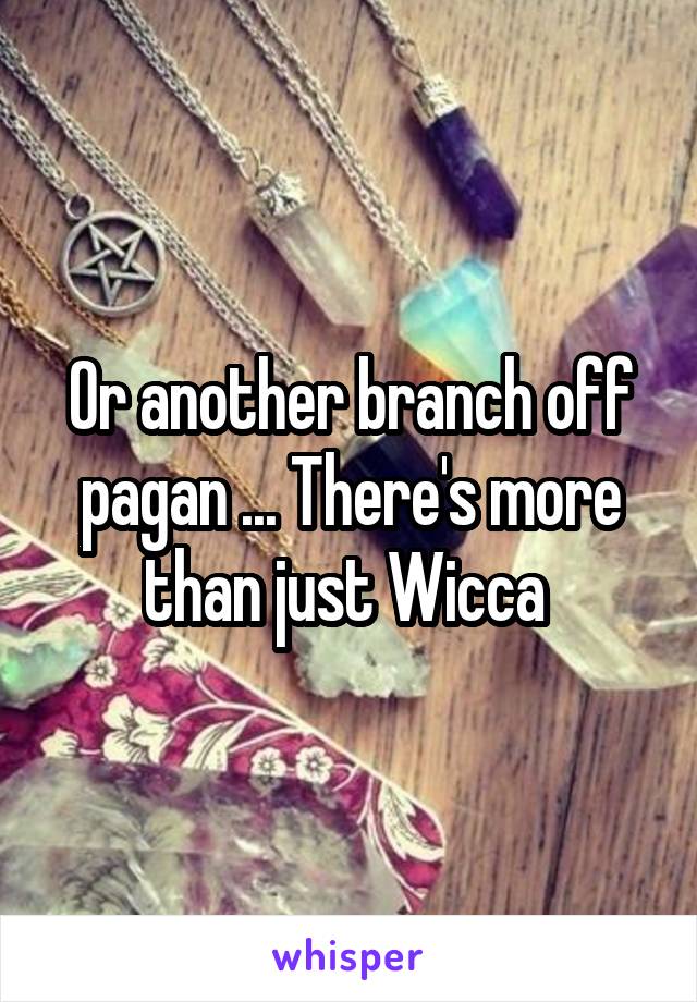 Or another branch off pagan ... There's more than just Wicca 