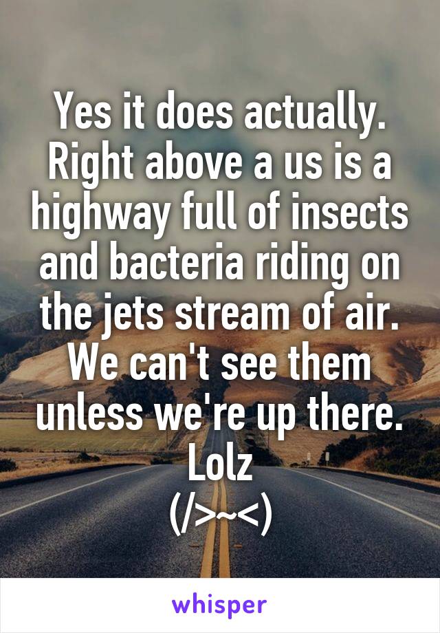 Yes it does actually. Right above a us is a highway full of insects and bacteria riding on the jets stream of air. We can't see them unless we're up there. Lolz
(/>~<\)