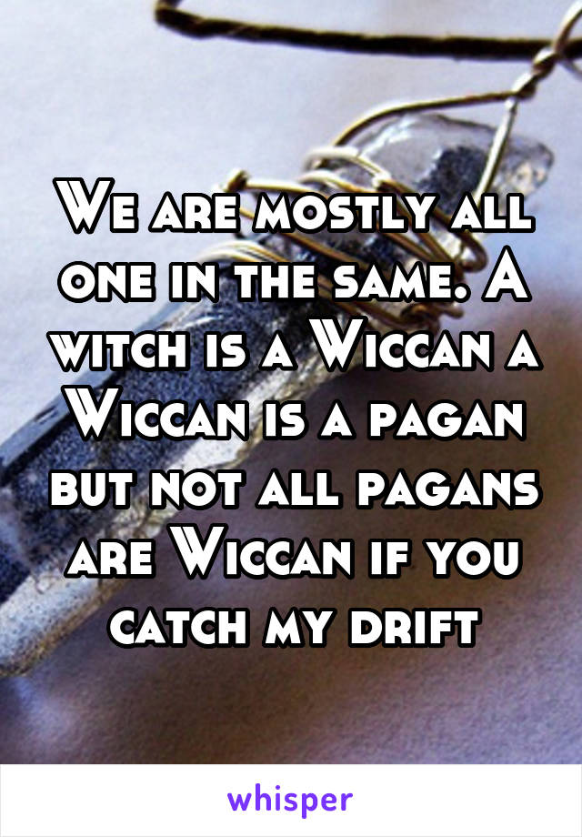 We are mostly all one in the same. A witch is a Wiccan a Wiccan is a pagan but not all pagans are Wiccan if you catch my drift