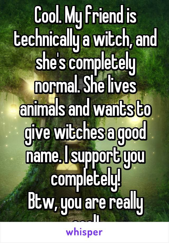 Cool. My friend is technically a witch, and she's completely normal. She lives animals and wants to give witches a good name. I support you completely!
Btw, you are really cool!