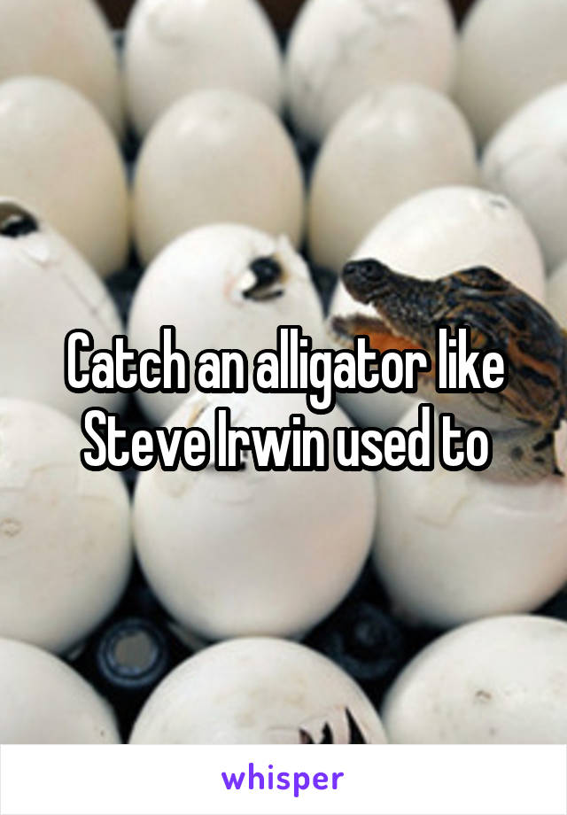 Catch an alligator like Steve Irwin used to