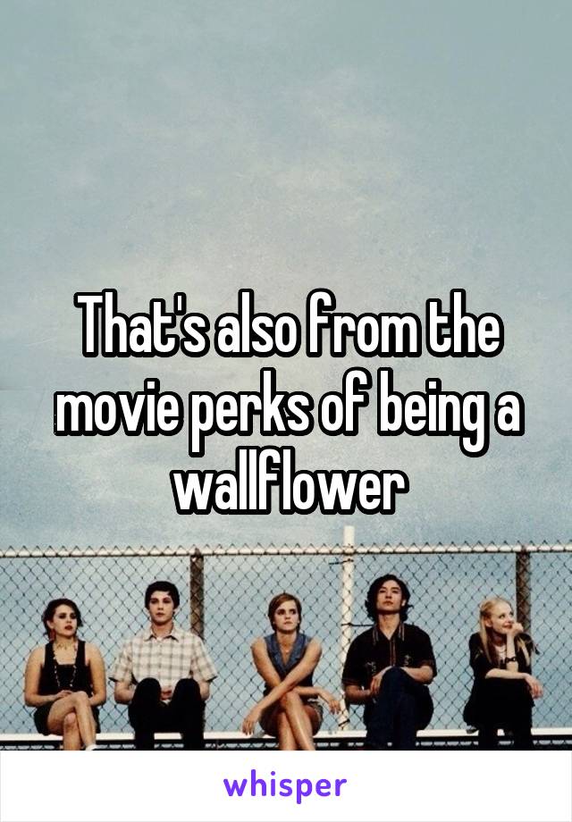 That's also from the movie perks of being a wallflower