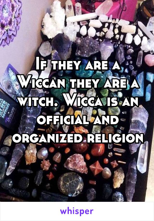 If they are a Wiccan they are a witch. Wicca is an official and organized religion 