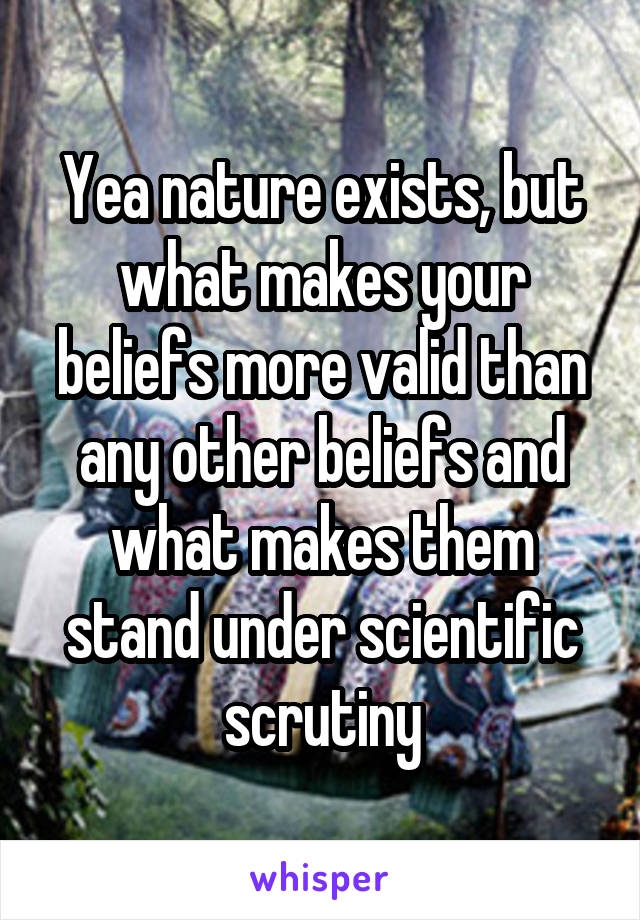 Yea nature exists, but what makes your beliefs more valid than any other beliefs and what makes them stand under scientific scrutiny