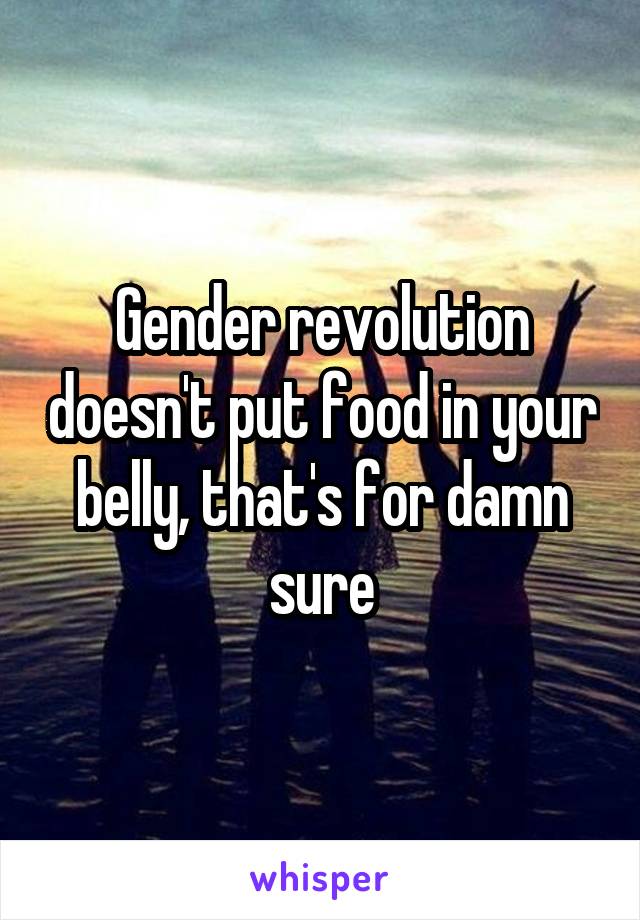 Gender revolution doesn't put food in your belly, that's for damn sure