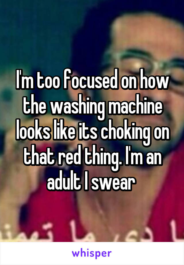 I'm too focused on how the washing machine looks like its choking on that red thing. I'm an adult I swear 