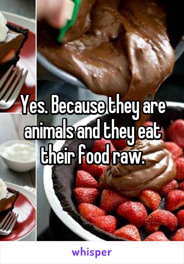 Yes. Because they are animals and they eat their food raw.