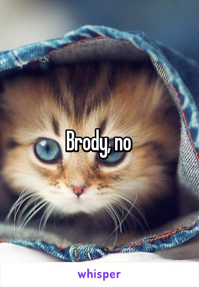 Brody, no 