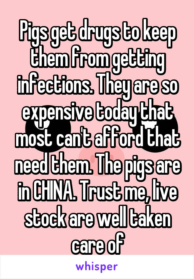 Pigs get drugs to keep them from getting infections. They are so expensive today that most can't afford that need them. The pigs are in CHINA. Trust me, live stock are well taken care of