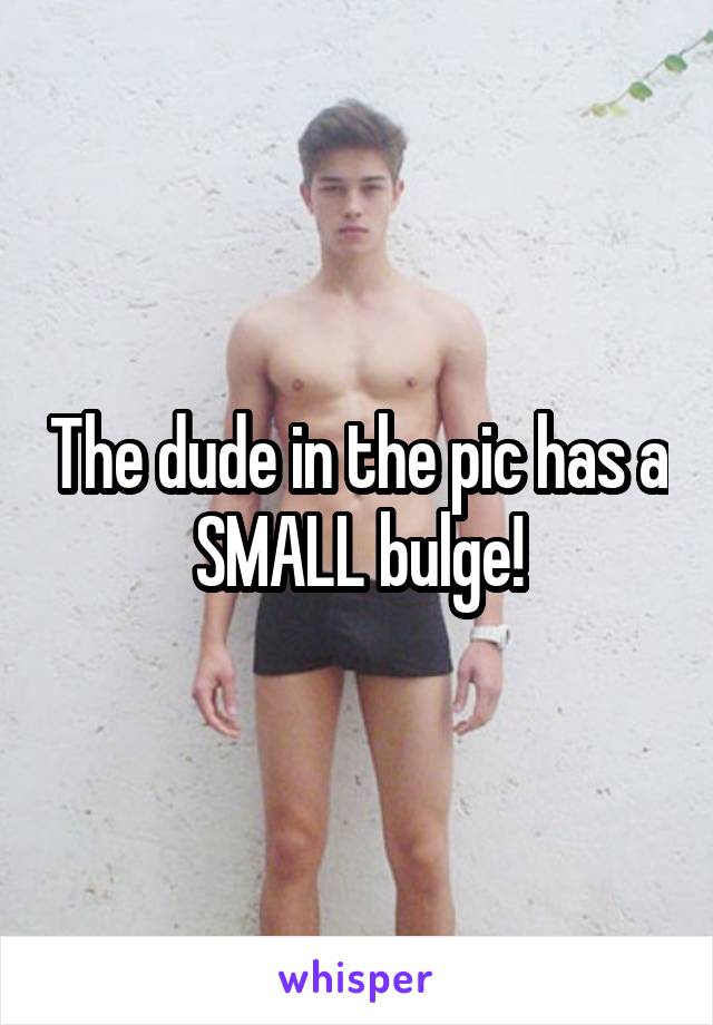 The dude in the pic has a SMALL bulge!