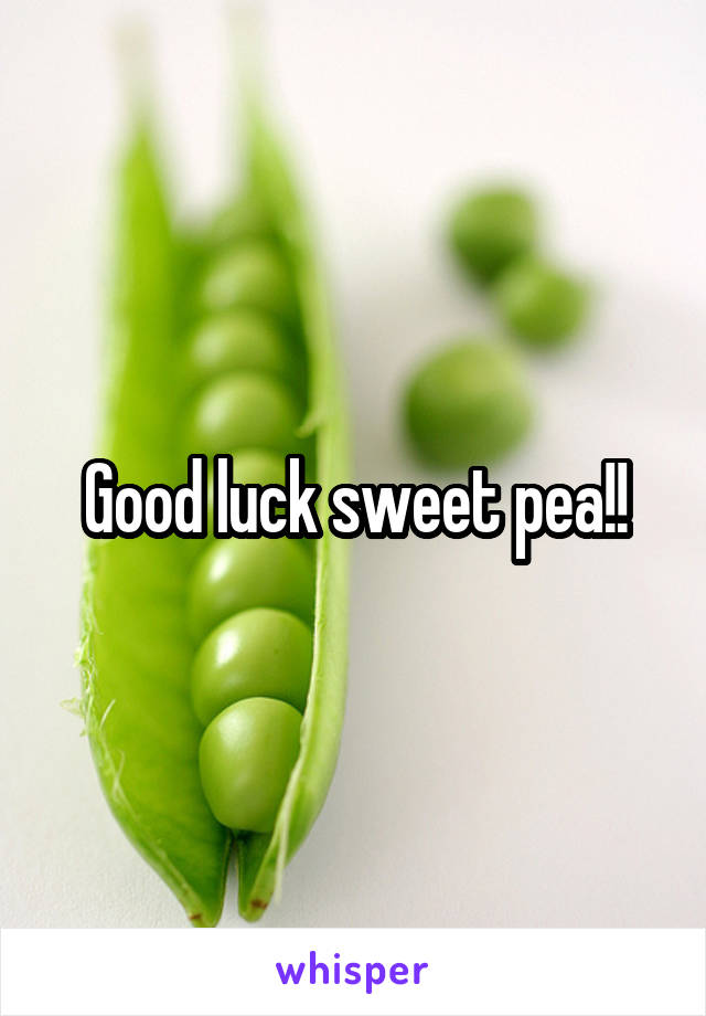 Good luck sweet pea!!