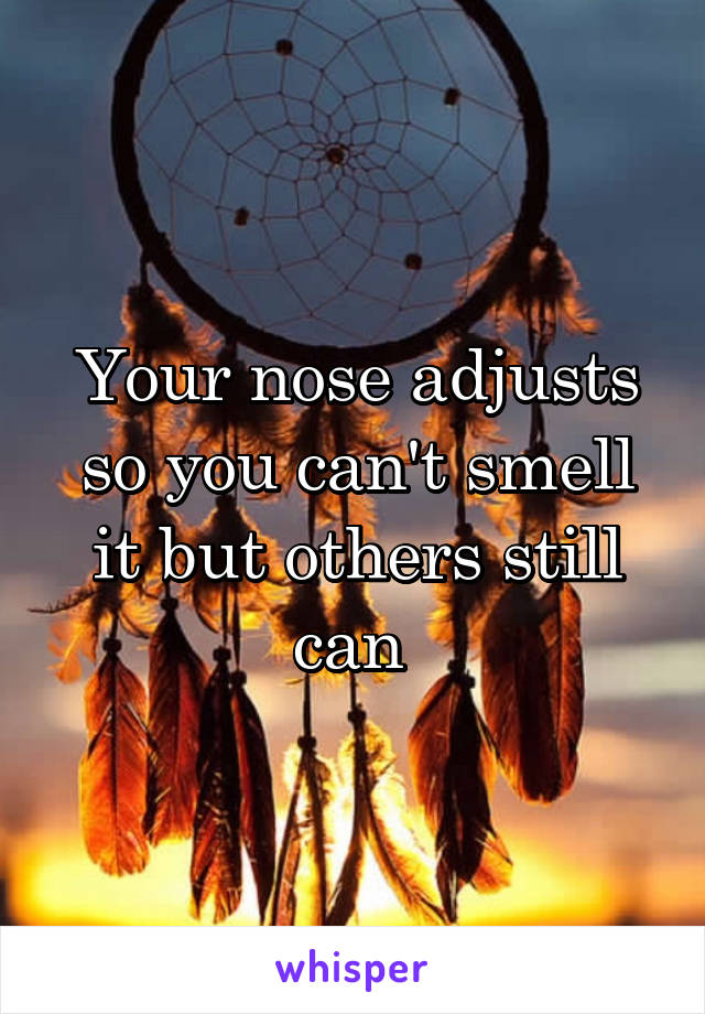 Your nose adjusts so you can't smell it but others still can 