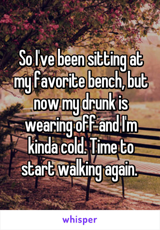 So I've been sitting at my favorite bench, but now my drunk is wearing off and I'm kinda cold. Time to start walking again. 