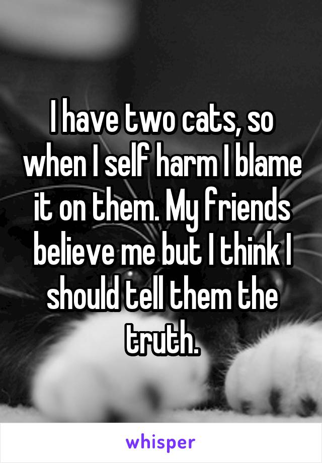 I have two cats, so when I self harm I blame it on them. My friends believe me but I think I should tell them the truth.