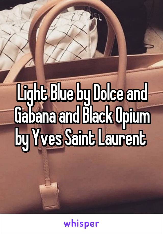 Light Blue by Dolce and Gabana and Black Opium by Yves Saint Laurent 