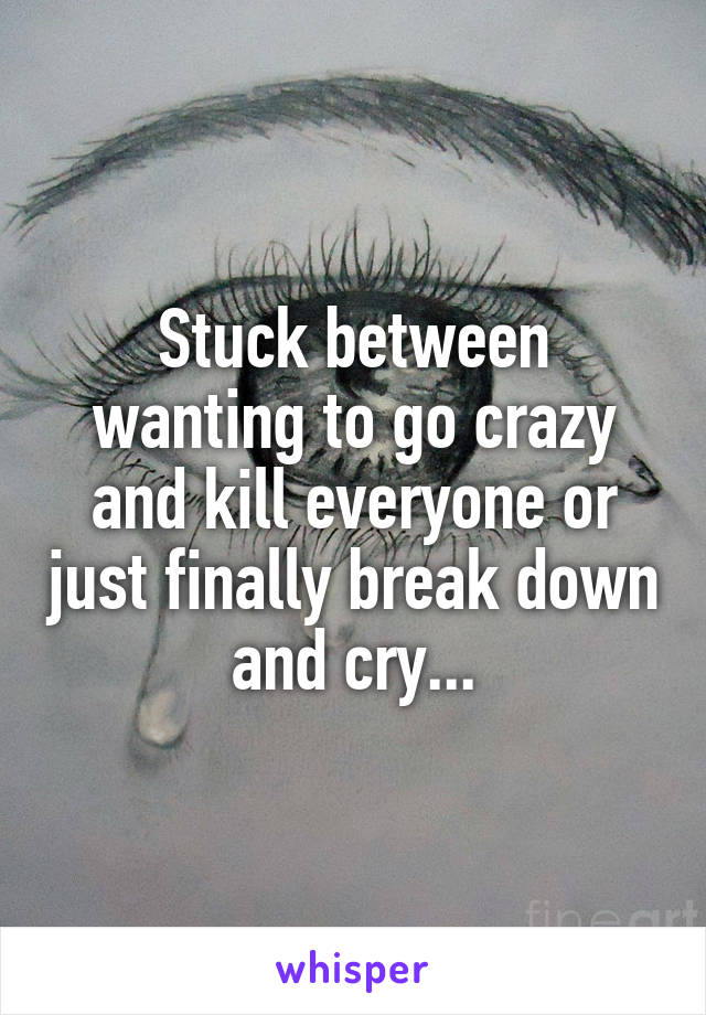 Stuck between wanting to go crazy and kill everyone or just finally break down and cry...