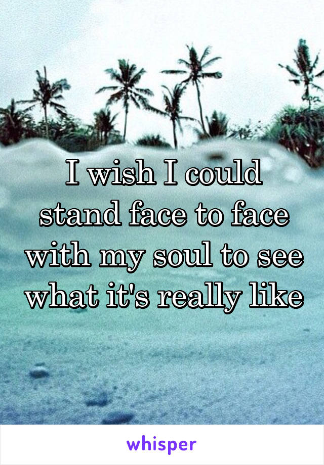 I wish I could stand face to face with my soul to see what it's really like