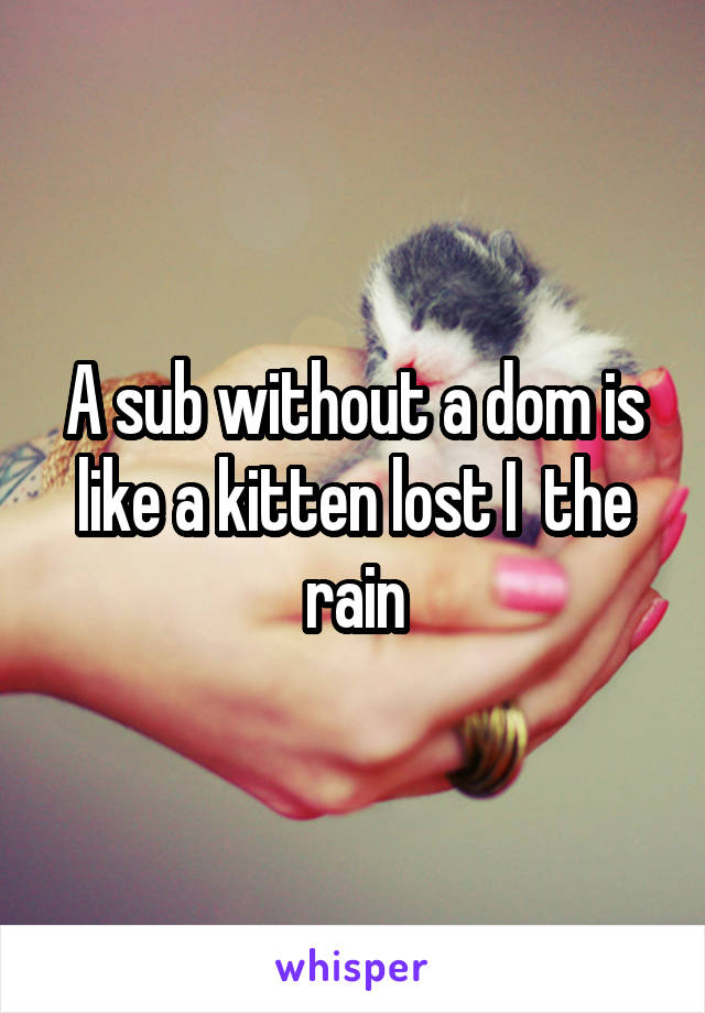 A sub without a dom is like a kitten lost I  the rain