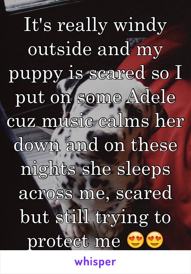 It's really windy outside and my puppy is scared so I put on some Adele cuz music calms her down and on these nights she sleeps across me, scared but still trying to protect me 😍😍