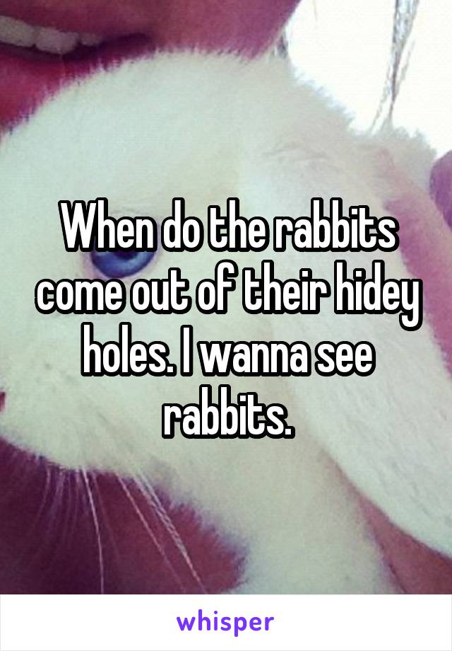 When do the rabbits come out of their hidey holes. I wanna see rabbits.