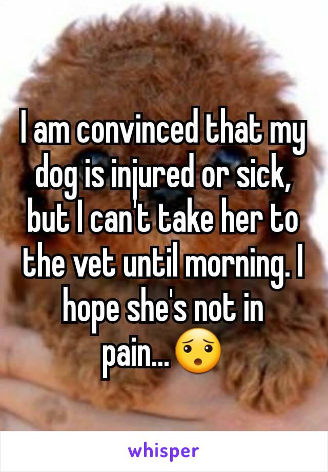 I am convinced that my dog is injured or sick, but I can't take her to the vet until morning. I hope she's not in pain...😯