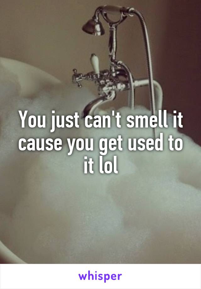 You just can't smell it cause you get used to it lol