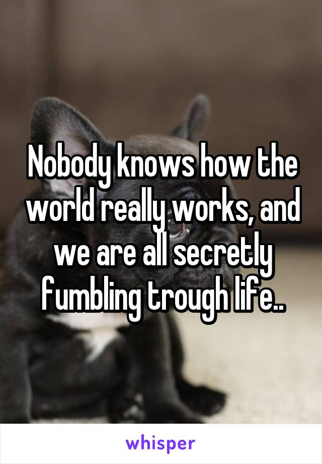 Nobody knows how the world really works, and we are all secretly fumbling trough life..