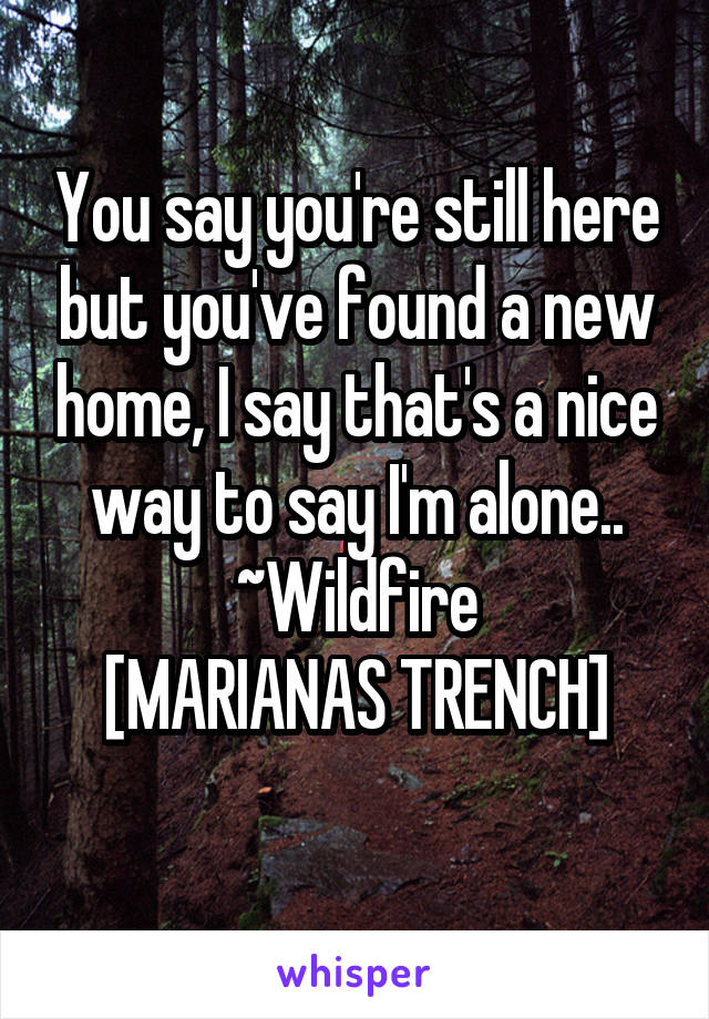 You say you're still here but you've found a new home, I say that's a nice way to say I'm alone..
~Wildfire
[MARIANAS TRENCH]
