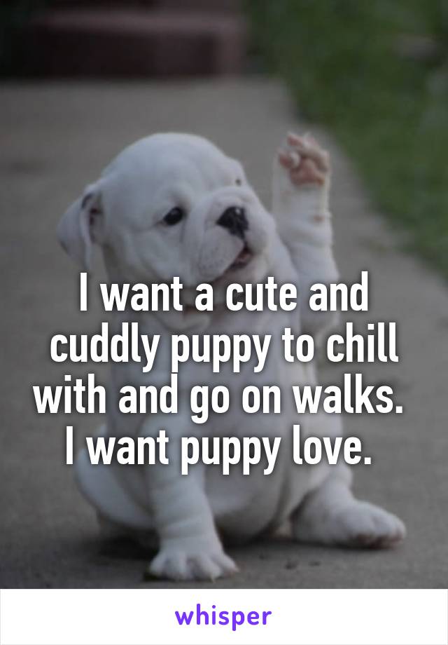 

I want a cute and cuddly puppy to chill with and go on walks.  I want puppy love. 