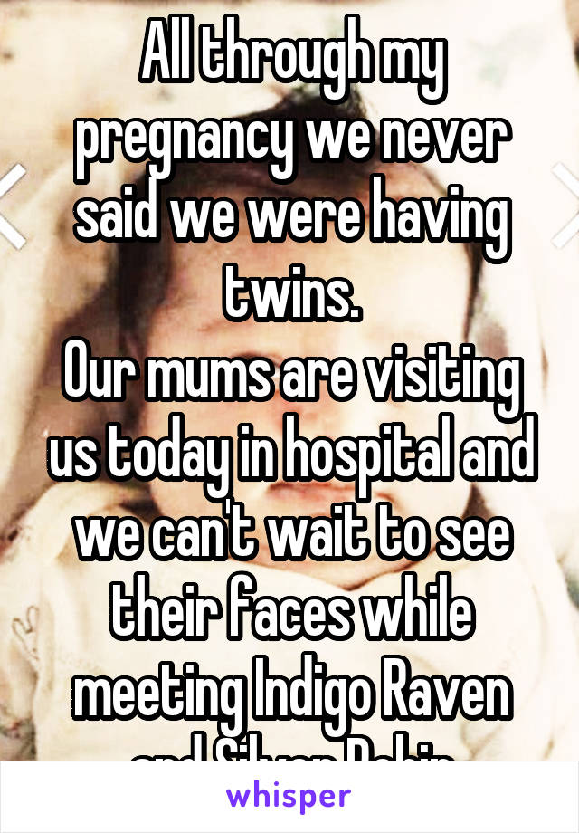 All through my pregnancy we never said we were having twins.
Our mums are visiting us today in hospital and we can't wait to see their faces while meeting Indigo Raven and Silver Robin